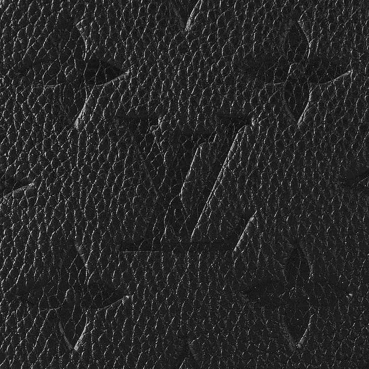 Louis Vuitton 23ss Easy Pouch On Strap