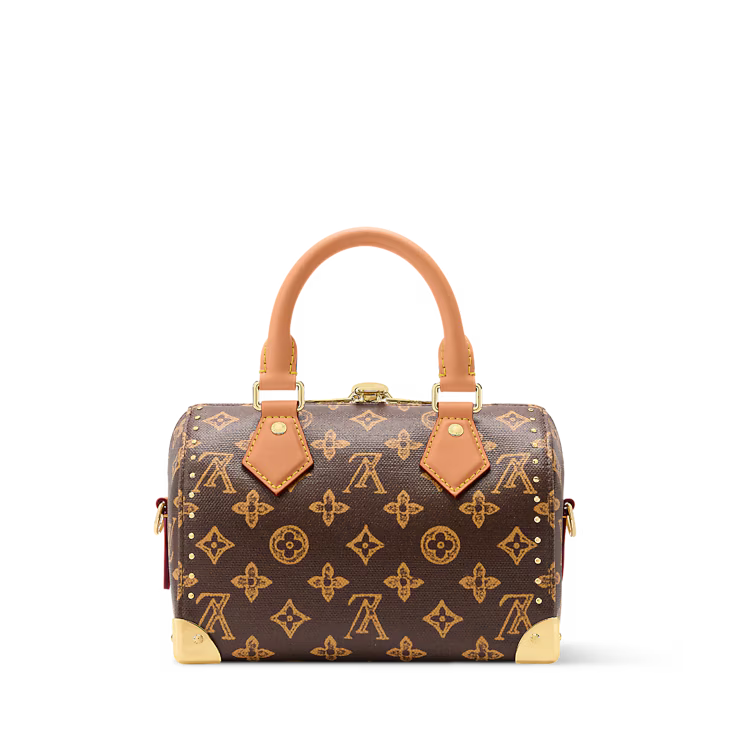 Louis Vuitton Speedy Trunk 20 Other Monogram Canvas