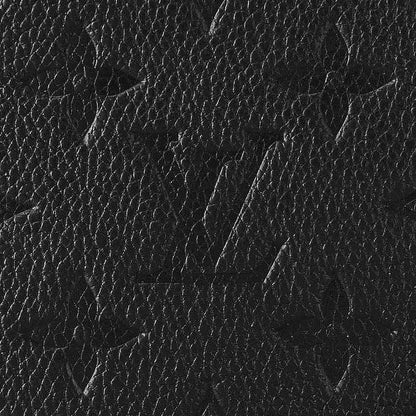 Louis Vuitton 23ss Easy Pouch On Strap