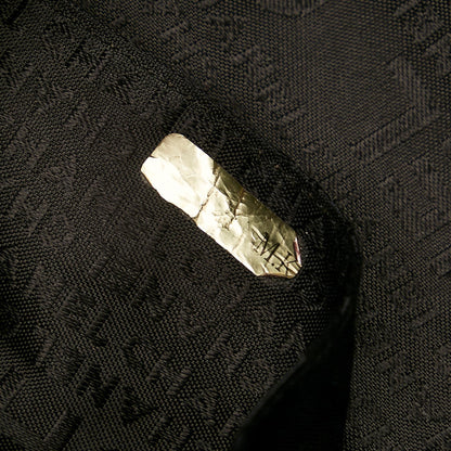 Chanel Caviar Leather Hobo Bag