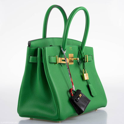 Hermes Birkin 25 Bambou Green Togo with Gold Hardware - 2020, Y