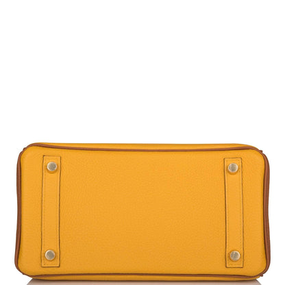 Hermes Birkin 25 Jaune Ambre and Gold Togo Permabrass Hardware