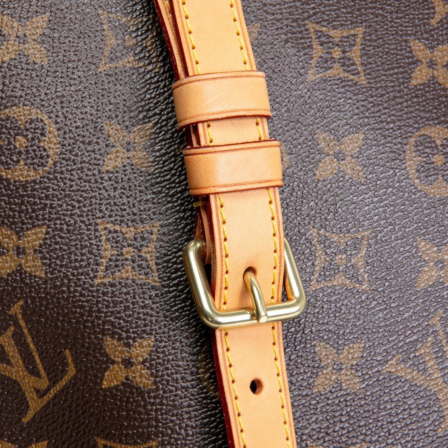 LOUIS VUITTON Odeon PM Monogram