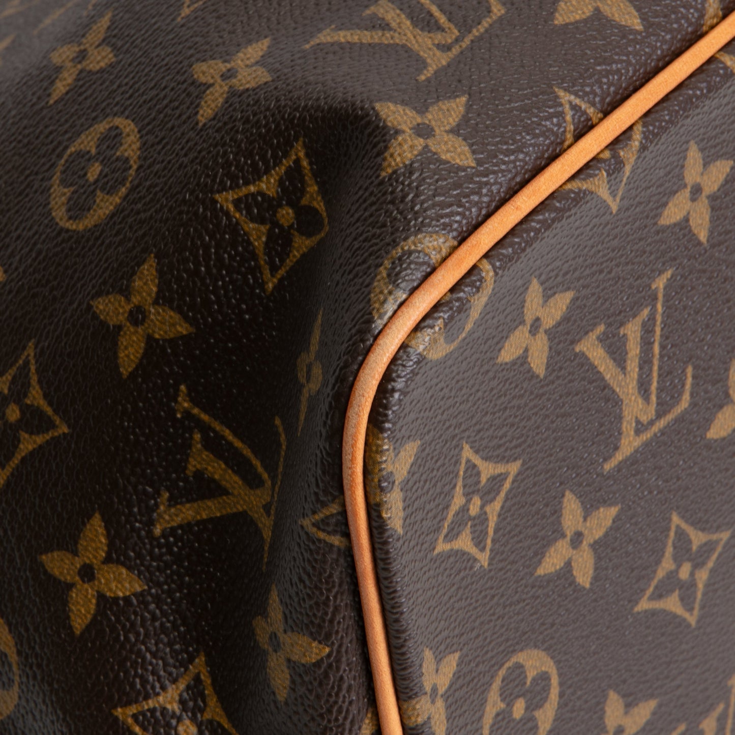 LOUIS VUITTON Monogram Palermo PM