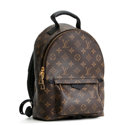 LOUIS VUITTON Palm Springs PM Backpack Monogram