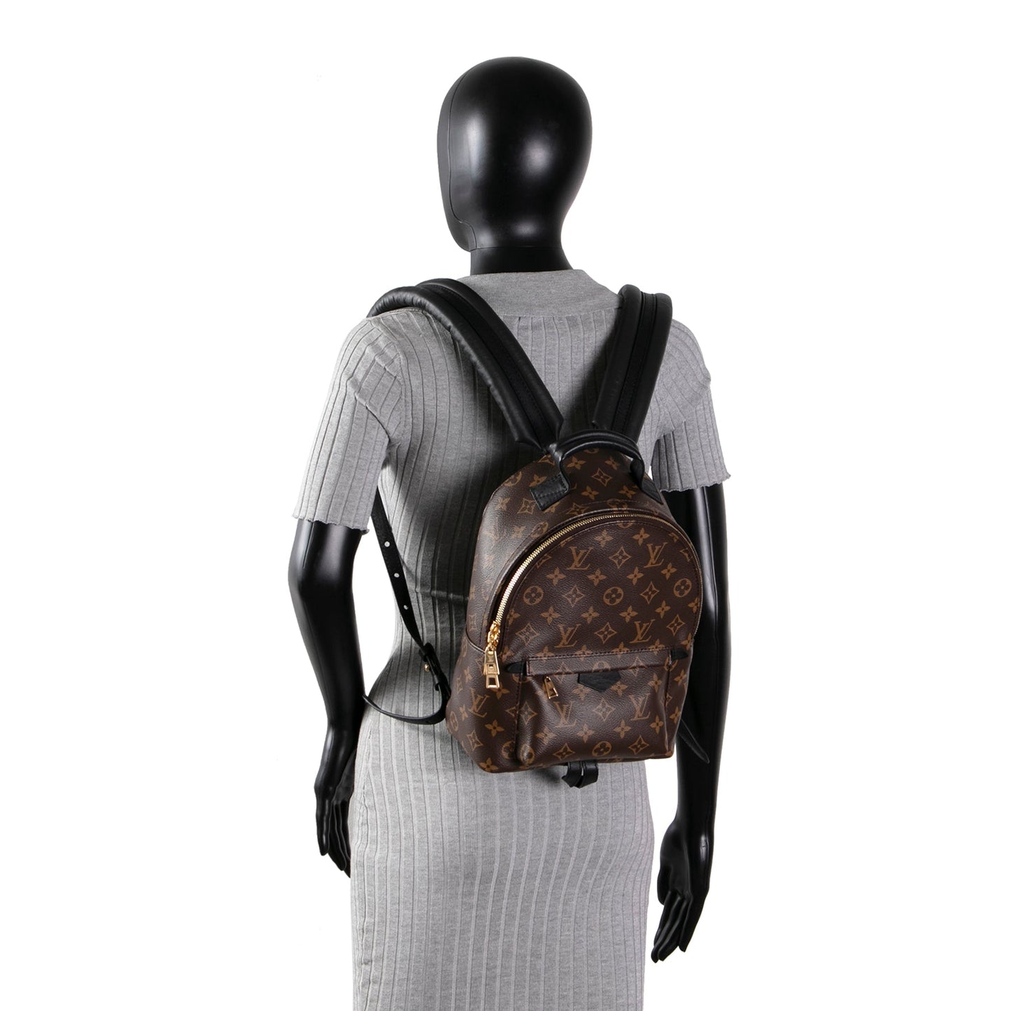 LOUIS VUITTON Palm Springs PM Backpack Monogram