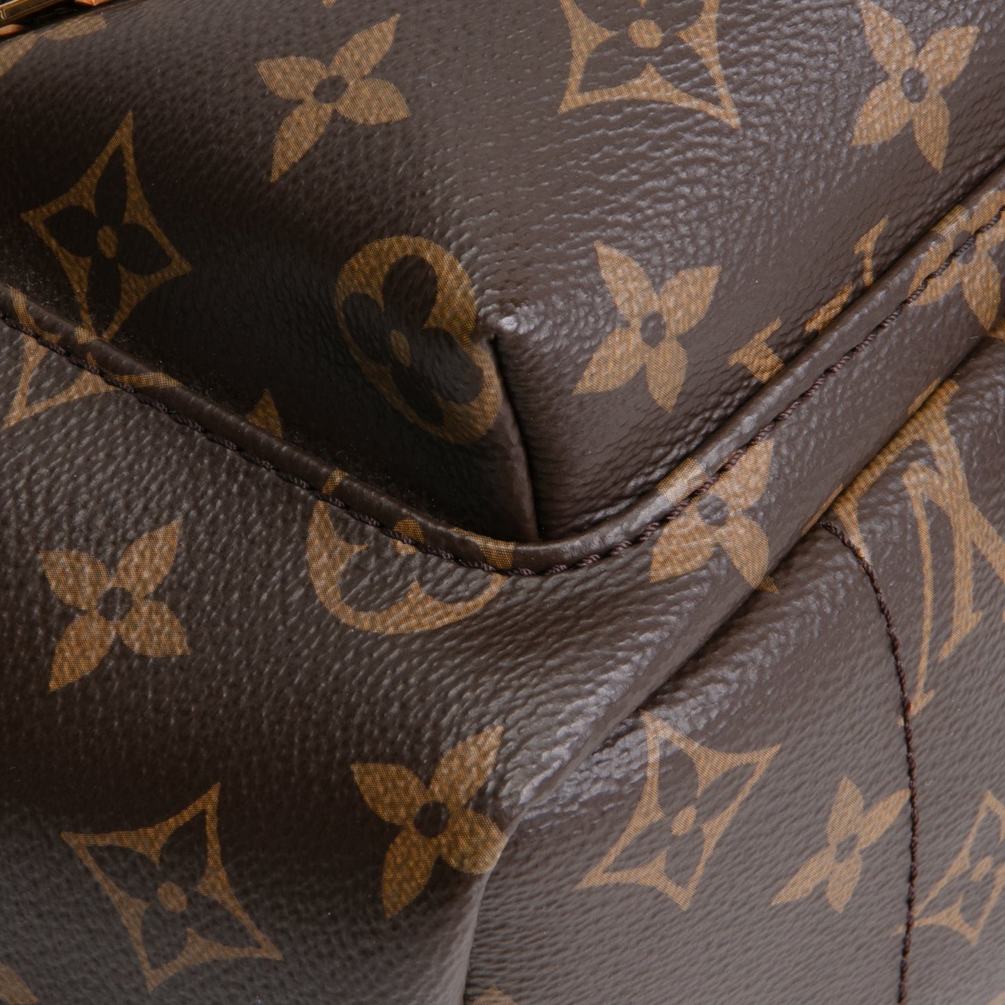 LOUIS VUITTON Palm Springs PM Backpack Monogram