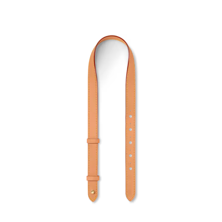 Louis Vuitton All In BB Bag
