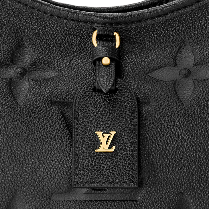 Louis Vuitton CarryAll
