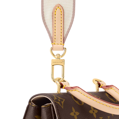 Louis Vuitton Cluny BB