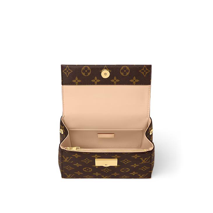 Louis Vuitton Cluny BB