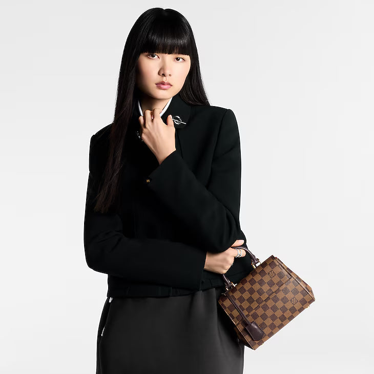 Louis Vuitton Cluny Mini Damier Ebene