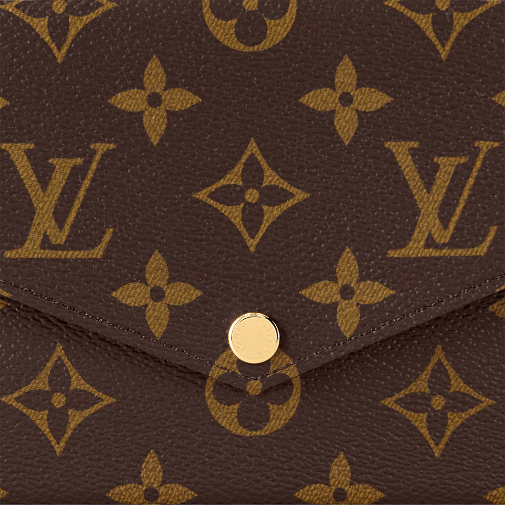 Louis Vuitton Félicie Pochette Brown