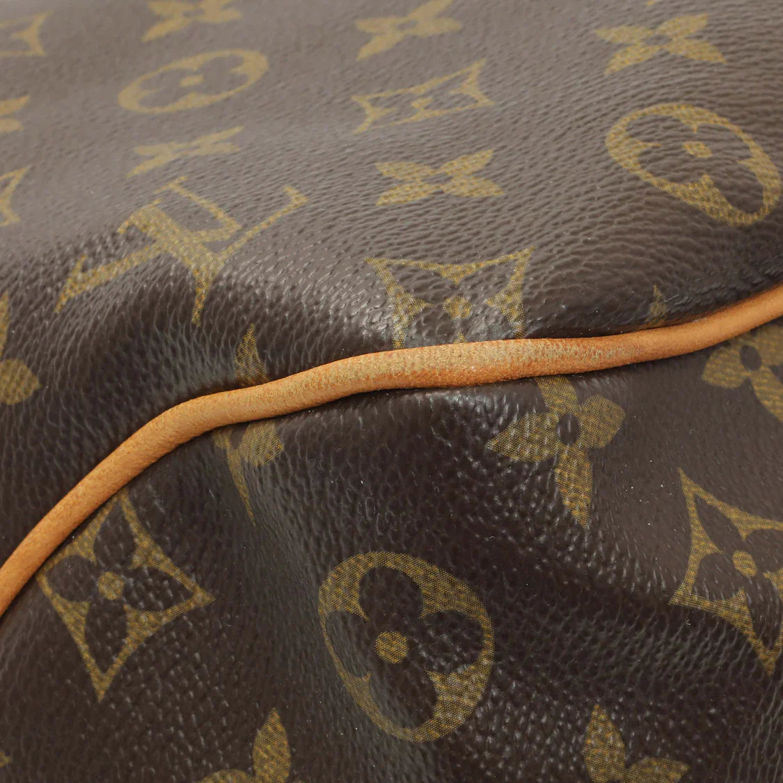 Louis Vuitton Monogram Delightful