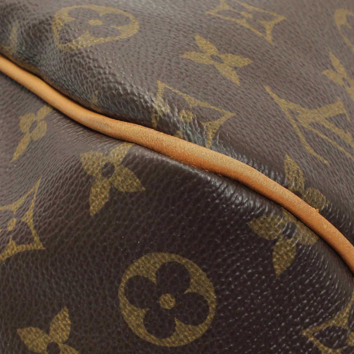 Louis Vuitton Monogram Delightful