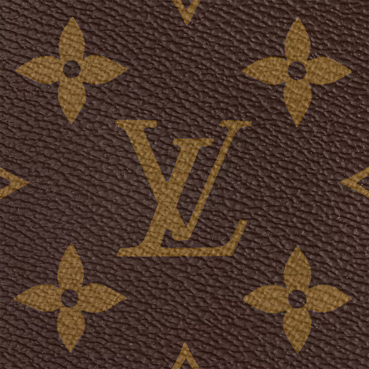 Louis Vuitton Multi Pochette Accessoires