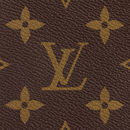 Louis Vuitton Multi Pochette Accessoires