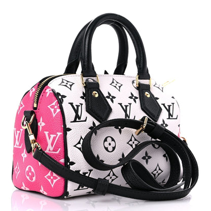 Louis Vuitton Spring in the city Speedy Bandouliere 20 M46088