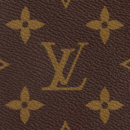 Louis Vuitton Speedy Bandoulière 20
