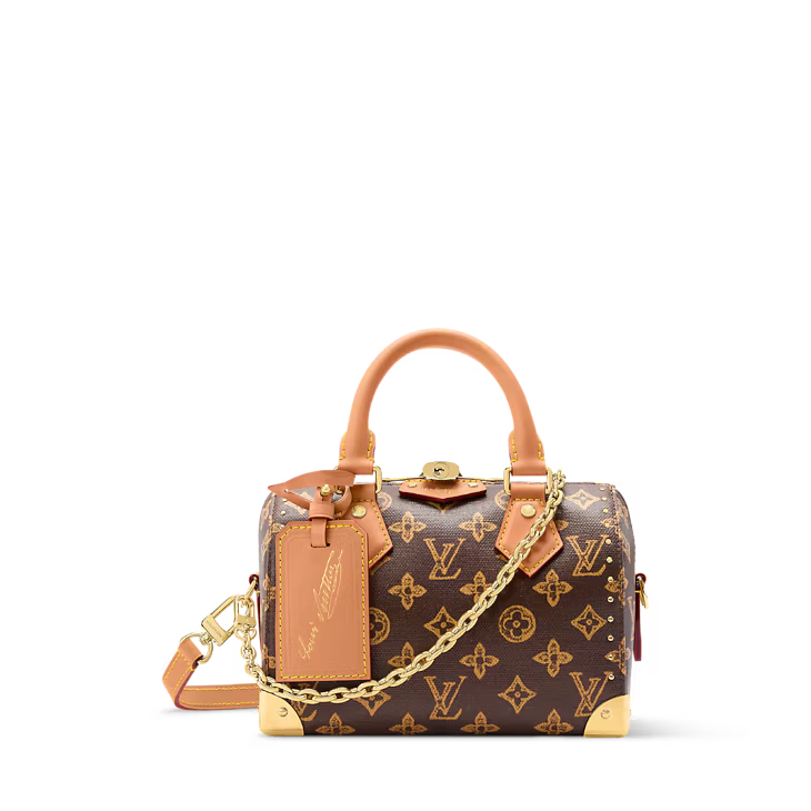 Louis Vuitton Speedy Trunk 20 Other Monogram Canvas
