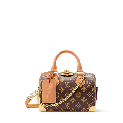 Louis Vuitton Speedy Trunk 20 Other Monogram Canvas