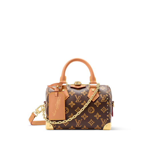 Louis Vuitton Speedy Trunk 20 Other Monogram Canvas