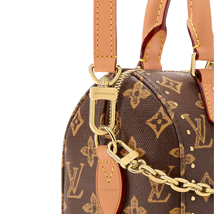 Louis Vuitton Speedy Trunk 20 Other Monogram Canvas