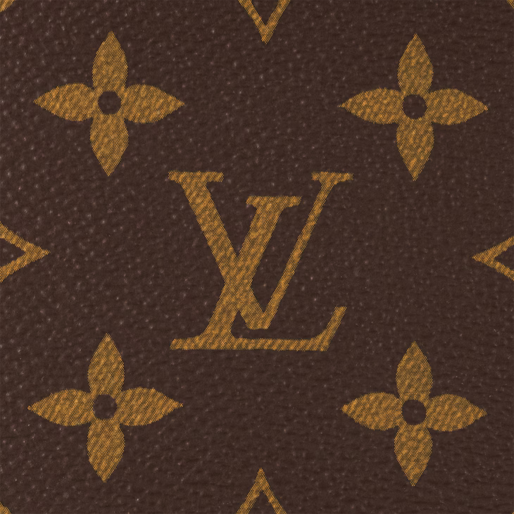 Louis Vuitton Wallet On Chain Ivy Bag