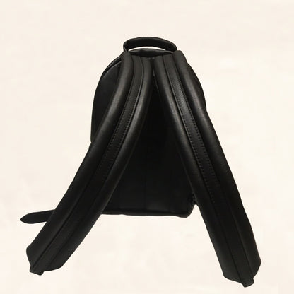 Louis Vuitton | Embroidered Lambskin Palm Springs BackPack | PM
