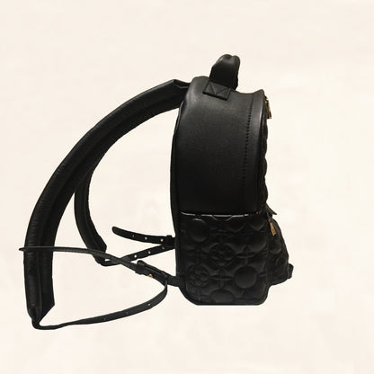 Louis Vuitton | Embroidered Lambskin Palm Springs BackPack | PM