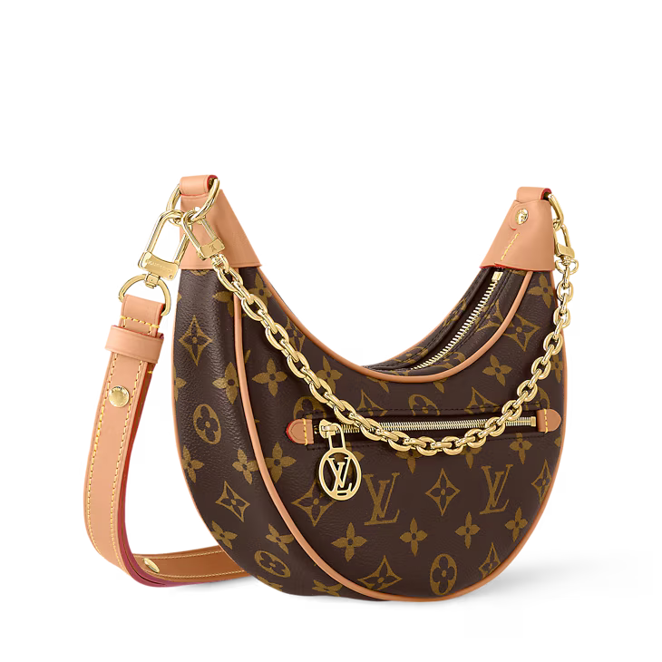 Louis Vuitton Loop Handbag