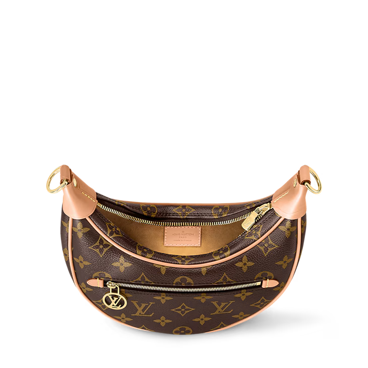Louis Vuitton Loop Handbag