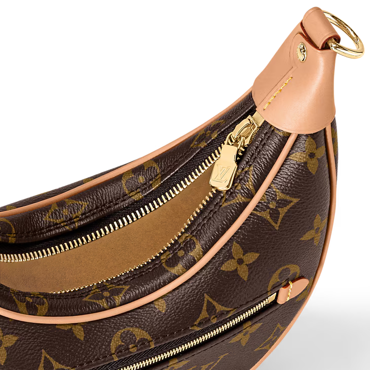 Louis Vuitton Loop Handbag