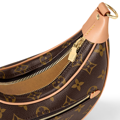 Louis Vuitton Loop Handbag
