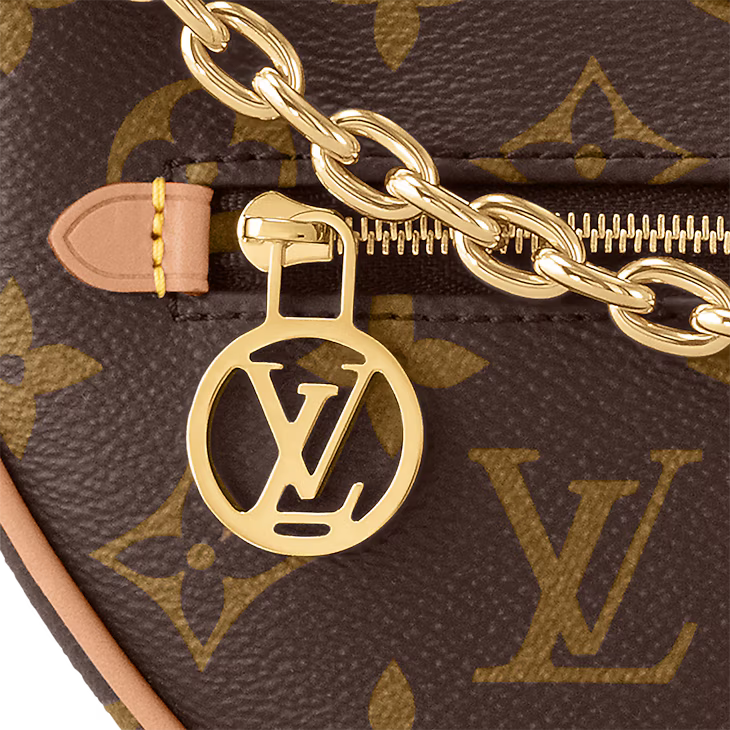 Louis Vuitton Loop Handbag