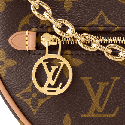 Louis Vuitton Loop Handbag