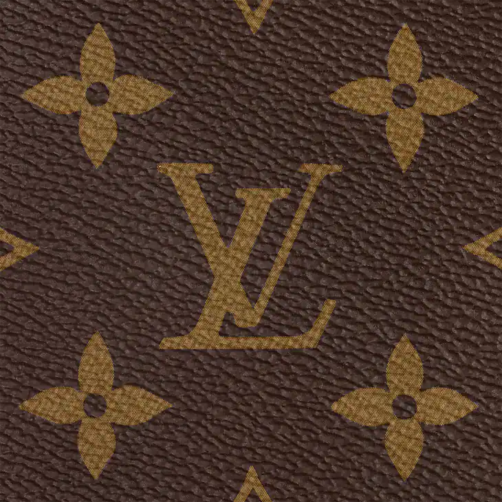 Speedy Bandouliere 20 Monogram Canvas
