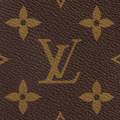 Speedy Bandouliere 20 Monogram Canvas
