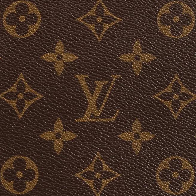 Louis Vuitton Neverfull PM Brown