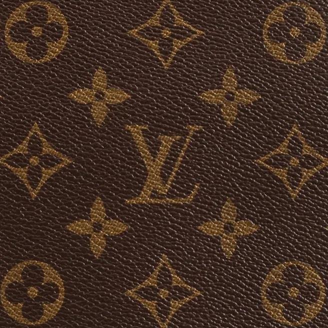 Louis Vuitton Neverfull PM Monogram